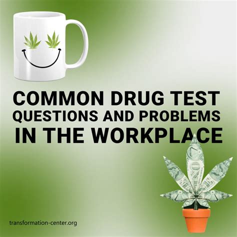 does seminole hard rock drug test|hard rock drug test questions.